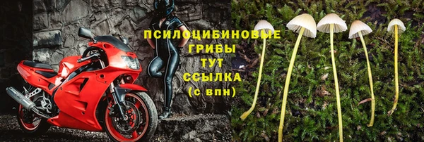 сатива Каменка