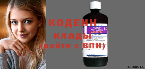 твердый Инсар