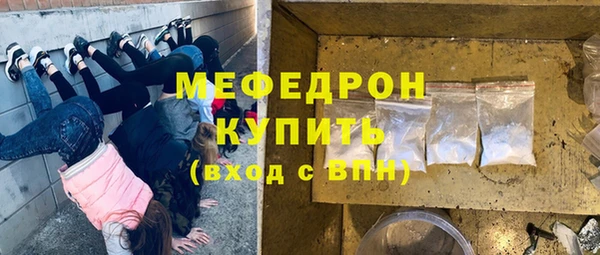 сатива Каменка