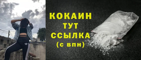 сатива Каменка