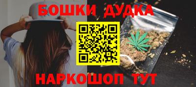 индика Дубна