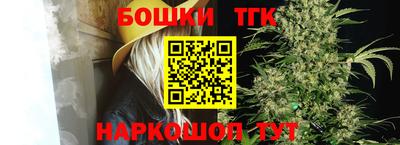 индика Дубна
