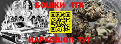 индика Дубна