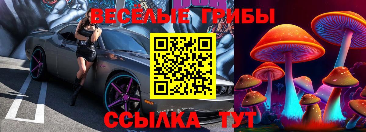 Псилоцибиновые грибы Cubensis  Вход с VPN  Назрань 