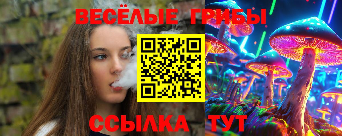 Галлюциногенные грибы Cubensis Назрань